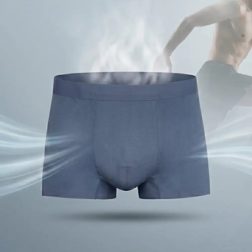 Boxer kháng khuẩn