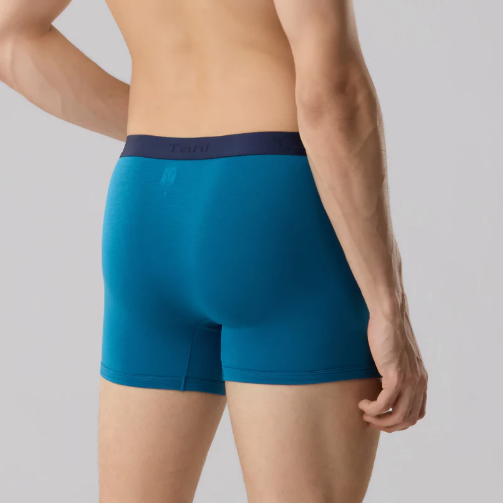 Boxer modal là gì